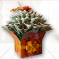 Autumn / Thanksgiving Money Bouquet by Spendable Arrangements