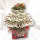 red Christmas money bouquet
