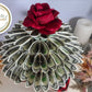 Valentine's Day Real Money Bouquet Gift for Him or Her by Spendable Arrangements - SpendableArrangements