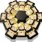 Graduation Explosion Money Gift Box