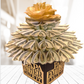 Father's Day Real Money Bouquet in black by Spendable Arrangements