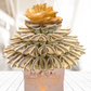 Spendable Arrangements wedding gift