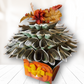 Autumn / Thanksgiving Money Bouquet by Spendable Arrangements