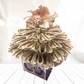 Hanukkah Money Bouquet by Spendable Arrangements