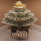 revolving Father's Day Real Money Bouquet in black by Spendable Arrangements