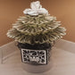 Super Hero Father's Day Real Money Bouquet by Spendable Arrangements