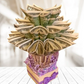Lucky money tree by Spendable Arrangements