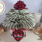 Valentine's Day Real Money Bouquet Gift for Him or Her by Spendable Arrangements - SpendableArrangements