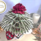 Valentine's Day Real Money Bouquet Gift for Him or Her by Spendable Arrangements - SpendableArrangements